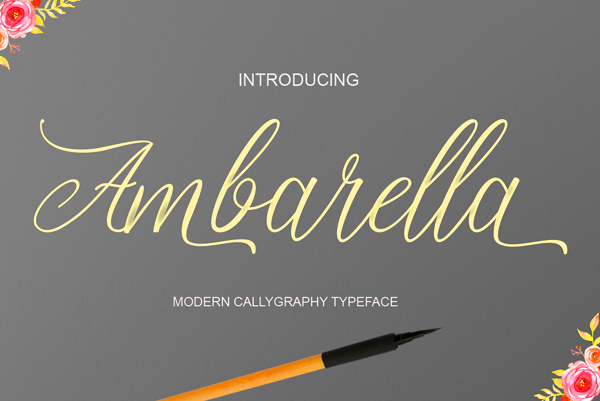 font ambarella